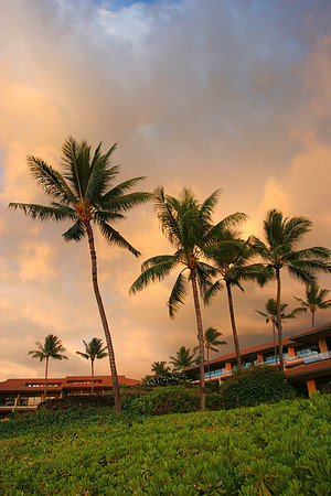 Sunset in Maui resort