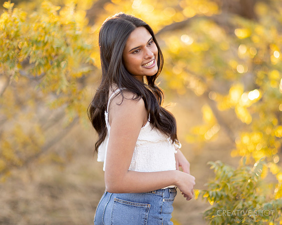 5V5A1279