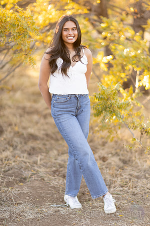 5V5A1243
