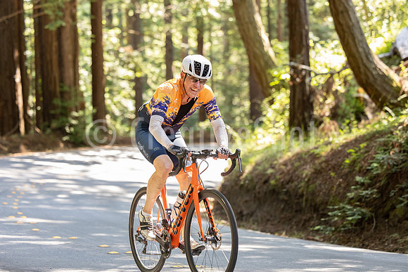 PESKY 178_040A0344