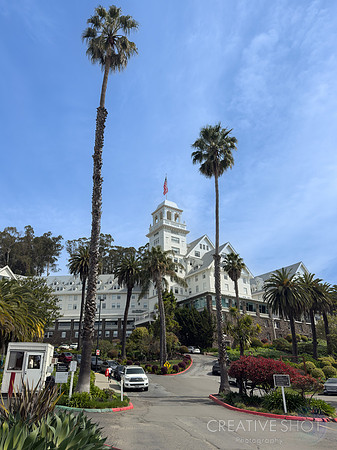 001-SUTTER-IMG_8434