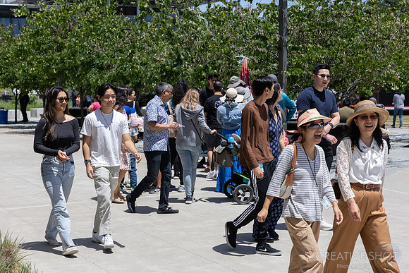 MSFT-059_040A0313