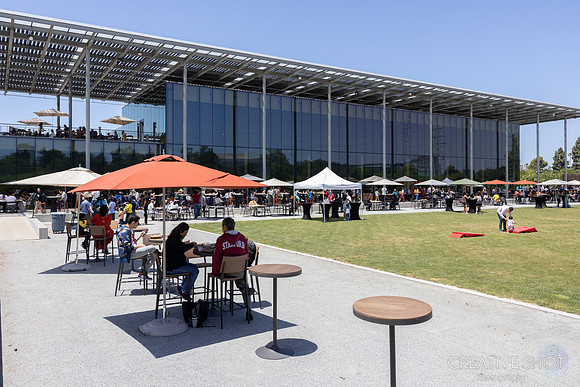 MSFT-080_040A0435