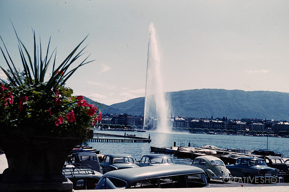 1961 004-6G7A9340