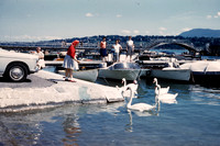 1961 001-6G7A9337