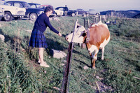 1962 015-6G7A9389