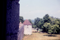 1965 007-6G7A8929