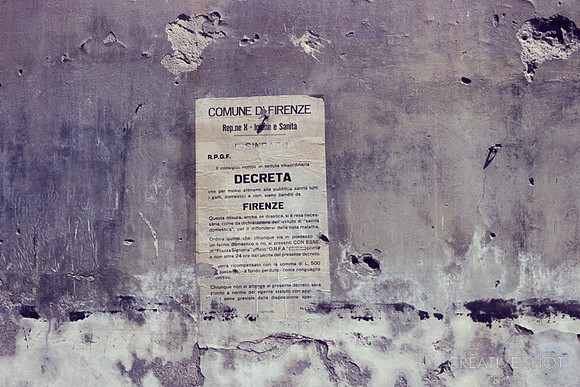 1967 010-6G7A8836