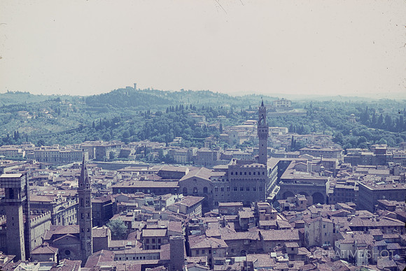 1967 015-6G7A8841