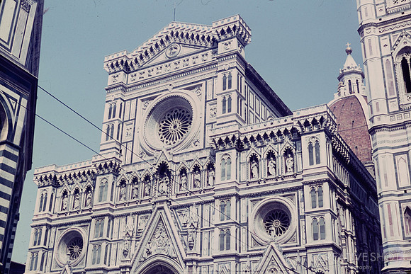 1967 021-6G7A8847