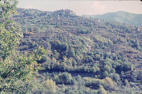 1967 136-6G7A9784