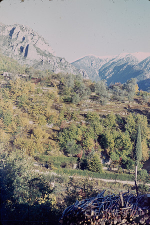 1967 139-6G7A9787
