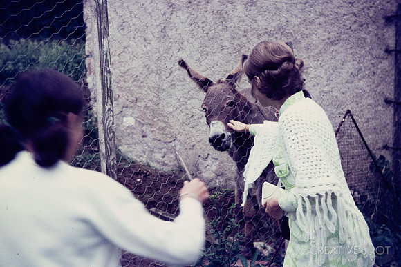 1969 028-6G7A9017
