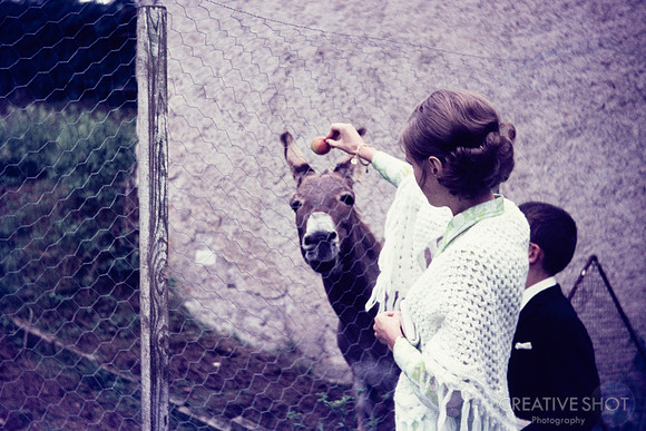 1969 044-6G7A9033