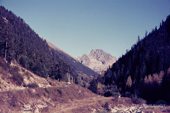 1969 101-6G7A9090