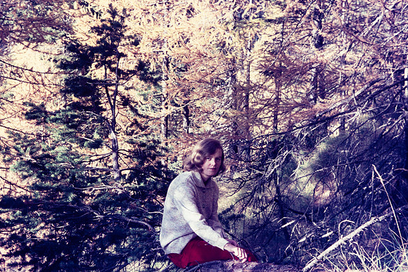 1969 108-6G7A9144