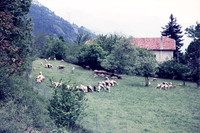 1970 013-6G7A9165