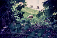 1970 014-6G7A9166