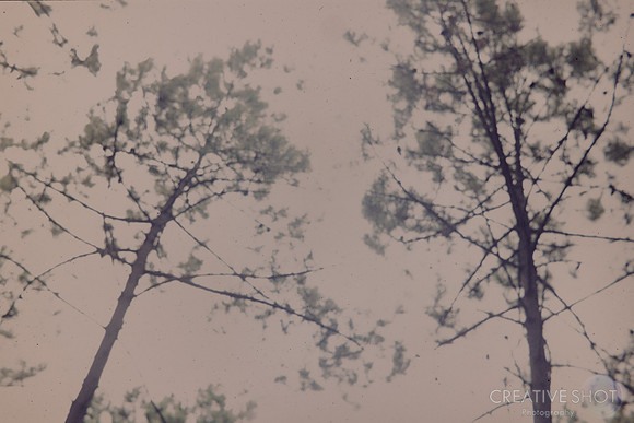 1973 082-6G7A0665