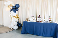 Vikram 006-040A0010
