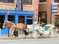 CBLL-396-IMG_3349