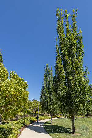 6G7A1113