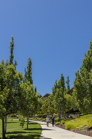 6G7A2569