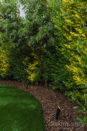 6G7A3773