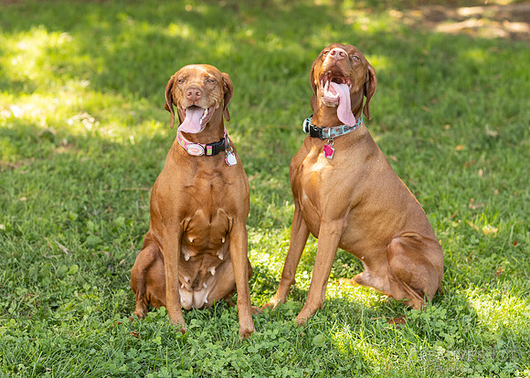 040A1828