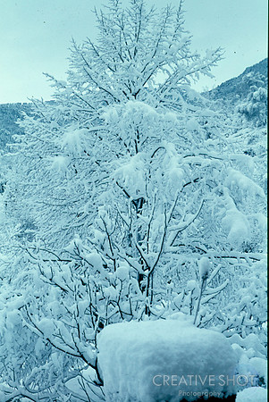 8300_Roq_neige