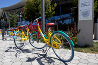 Google & San Francisco