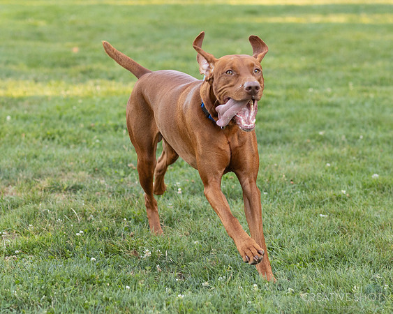 5V5A7687