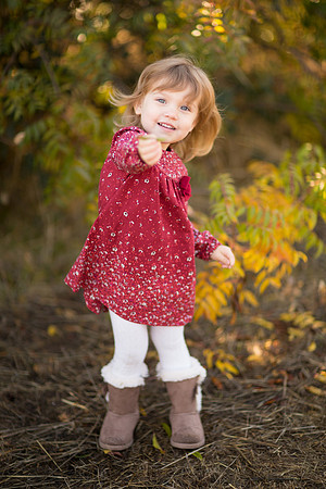 AIMG_0140