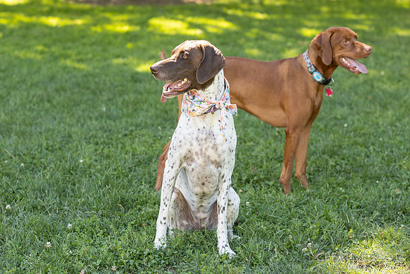 040A2269
