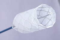 CP1A2563
