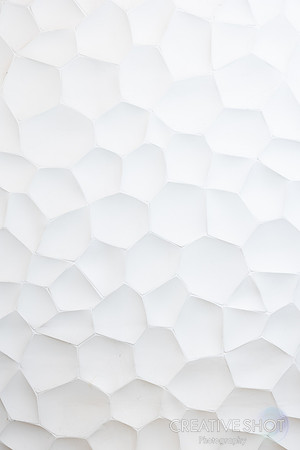 5V5A0003