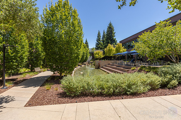 AVGO 249_040A5985
