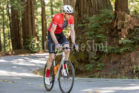 PESKY 542_040A1577