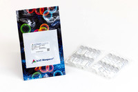 6G7A1604