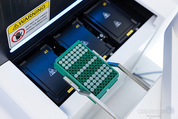 6G7A6642