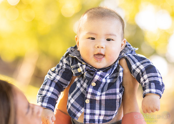 040A3610
