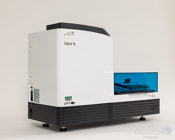 6G7A7084