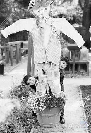 Z High IMG_4132BW